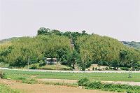 天手長男神社遠景