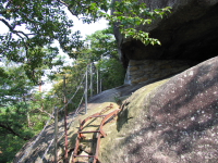 ���{�����璸���