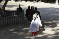 大山祇神社にて