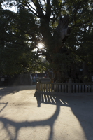 大山祇神社にて