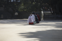 大山祇神社にて