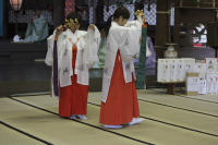 舞の奉納