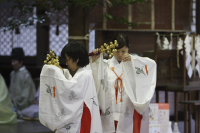 舞の奉納