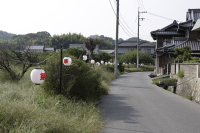 天気良し