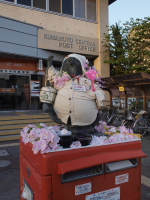 郵便局ポストにたぬき