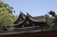 本殿と青空