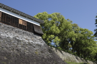 熊本城石垣