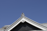 空青し