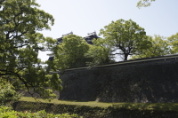 天守閣を眺める