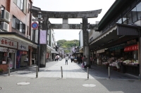 参道を進む