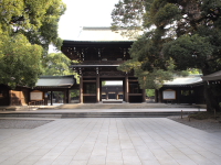 明治神宮にて
