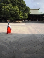 明治神宮にて