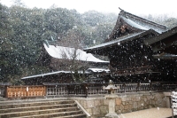 吉備津彦神社にて
