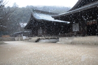 吉備津彦神社にて