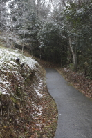 参道には雪が残る