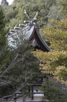 向東八幡神社にて